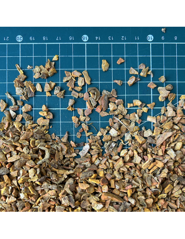 CURCUMA CERTIFIÉ BIO