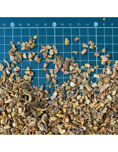 CURCUMA CERTIFIÉ BIO
