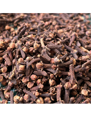 CLOUS DE GIROFLE CERTIFIÉ BIO