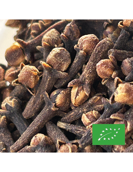 CLOUS DE GIROFLE CERTIFIÉ BIO