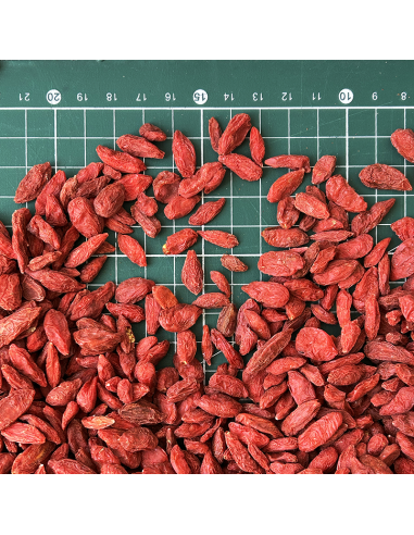 GOJI BERRY ORGANIC CERTIFIED