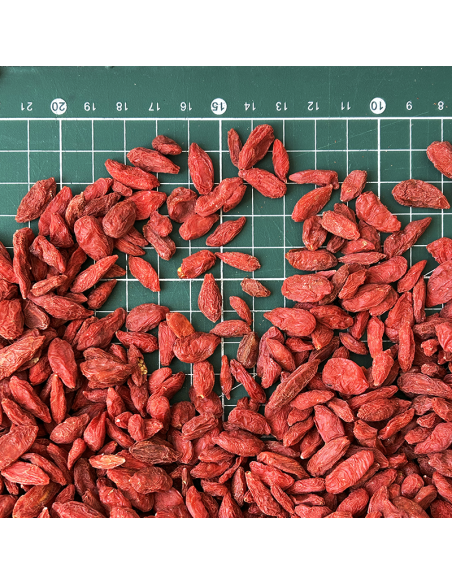 GOJI BERRY ORGANIC CERTIFIED