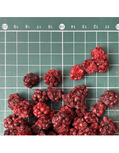 MÛRES CERTIFIÉ BIO 2