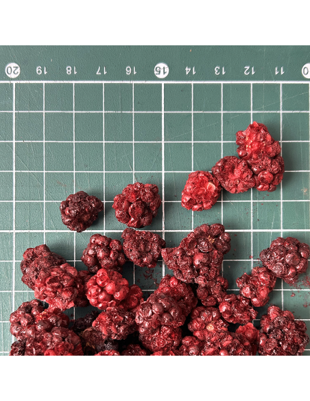 MÛRES CERTIFIÉ BIO