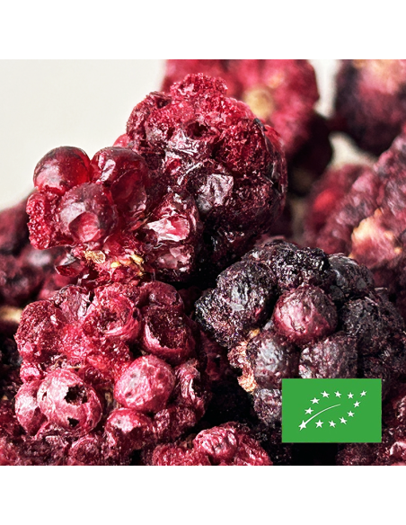 MÛRES CERTIFIÉ BIO