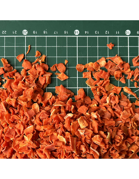 CARROT ORGANIC CERTIFIED