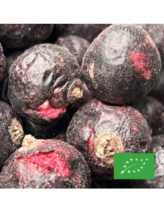 DEHYDRATED BLACKCURRANT ORGANIC CERTIFIED