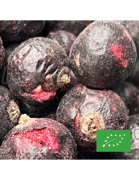 DEHYDRATED BLACKCURRANT ORGANIC CERTIFIED