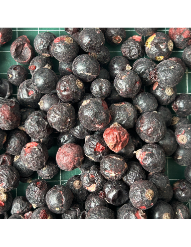 DEHYDRATED BLACKCURRANT ORGANIC CERTIFIED DEHYDRATED BLACKCURRANT ORGANIC CERTIFIED