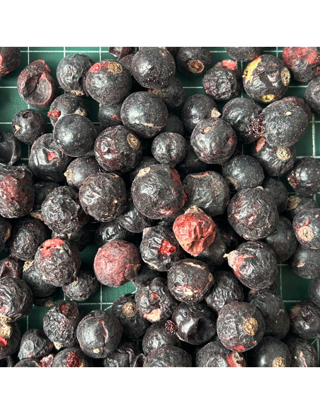 DEHYDRATED BLACKCURRANT ORGANIC CERTIFIED