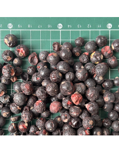 DEHYDRATED BLACKCURRANT ORGANIC CERTIFIED 2