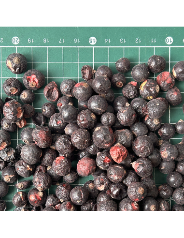 DEHYDRATED BLACKCURRANT ORGANIC CERTIFIED