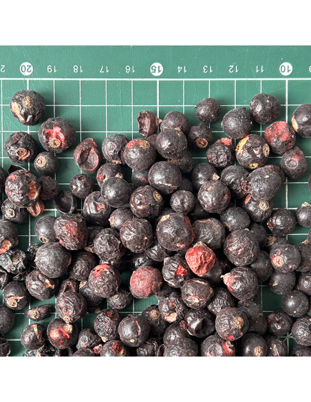 DEHYDRATED BLACKCURRANT ORGANIC CERTIFIED
