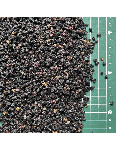 ELDERBERRIES ORGANIC CERTIFIED