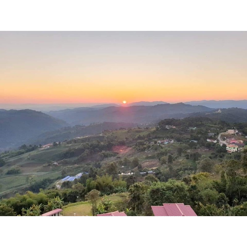 DONG DING OOLONG DONG DING OOLONG