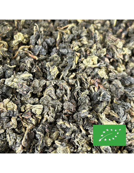 OOLONG TUNG TING ORGANIC CERTIFIED