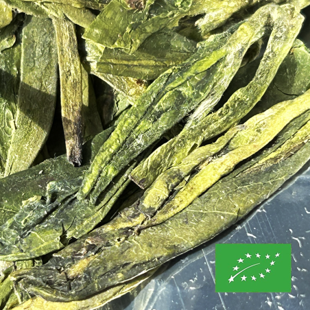 LONGJING PUIT DU DRAGON CERTIFIÉ BIO