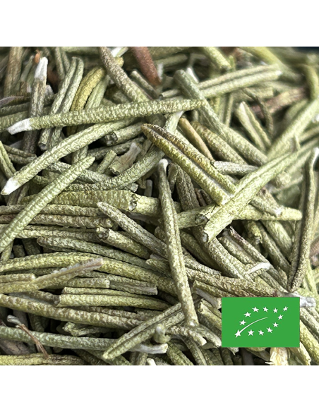 ROSEMARY SOUTH FRANCE ORGANIC CERTIFIED