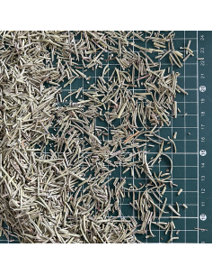 ROSEMARY SOUTH FRANCE ORGANIC CERTIFIED 2