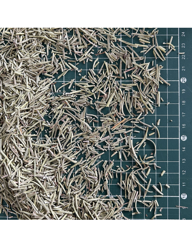 ROSEMARY SOUTH FRANCE ORGANIC CERTIFIED