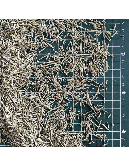 ROSEMARY SOUTH FRANCE ORGANIC CERTIFIED