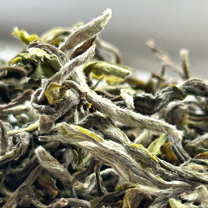 MIST VALLEY FIRST FLUSH '25 CERTIFIÉ BIO