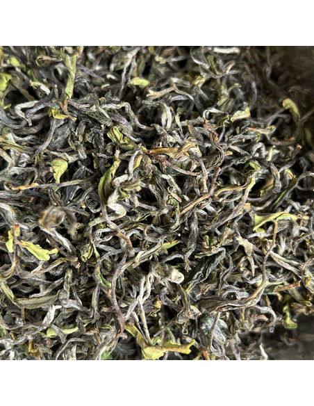 MIST VALLEY FIRST FLUSH '25 ORGANIC CERTIFIED