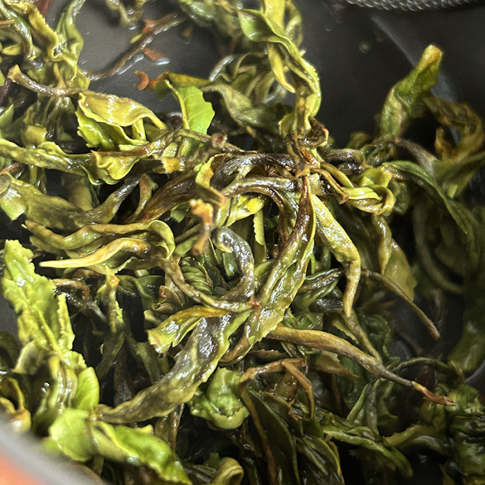 MIST VALLEY FIRST FLUSH '25 CERTIFIÉ BIO