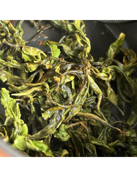 ILAM WONDER FIRST FLUSH '25 CERTIFIÉ BIO