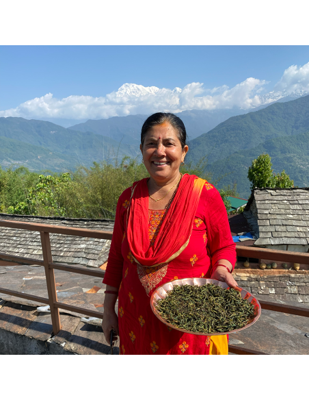 MACHAPUCHRE GREEN TEA