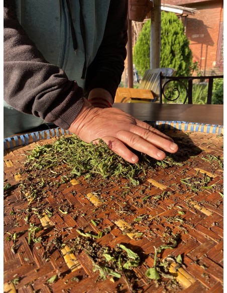 MACHAPUCHRE GREEN TEA
