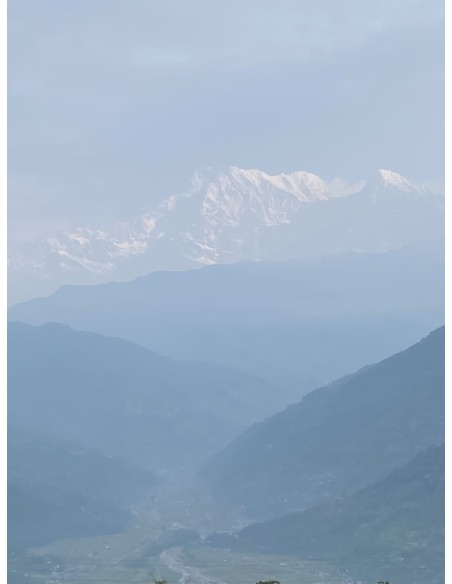 MACHAPUCHRE GREEN TEA