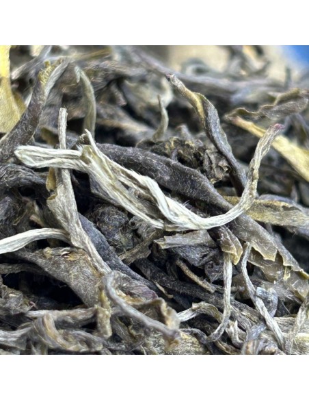 MACHAPUCHRE GREEN TEA