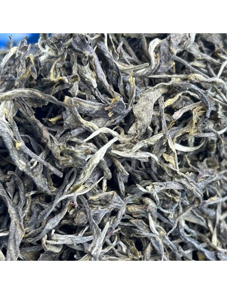 MACHAPUCHRE GREEN TEA