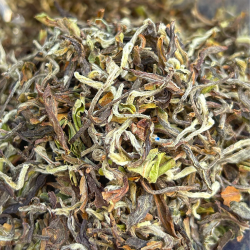 MACHAPUCHRE FIRST FLUSH TYPE DARJEELING 2