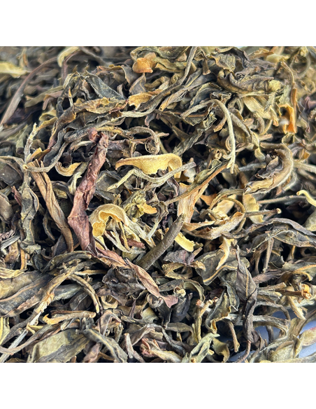 THÉIERS SAUVAGES VIOLETS PUER SHENG BIO