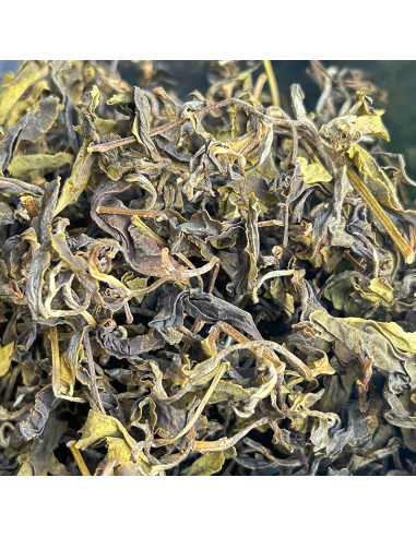 GABA GREEN TEA GABA GREEN TEA