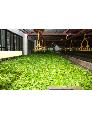 NEW VITHANAKANDE BOP1 NEW VITHANAKANDE BOP1