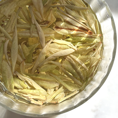 FINEST WHITE LONGJING 2024