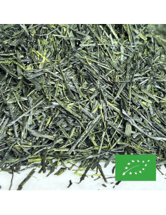 SENCHA YUTAKAMIDORI HIOKI ORGANIC CERTIFIED 2024
