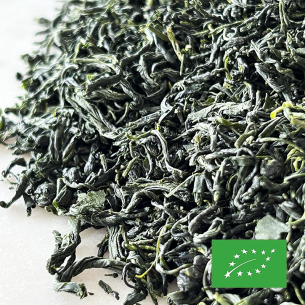 TAMARYOKUCHA SAEMIDORI CERTIFIÉ BIO 2
