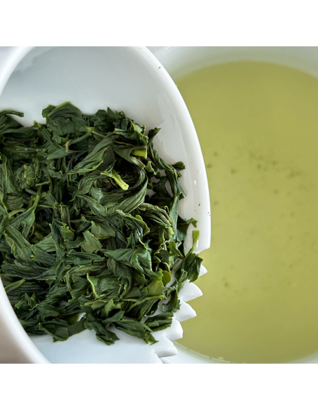 TAMARYOKUCHA SAEMIDORI ORGANIC CERTIFIED