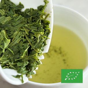 SENCHA YABUKITA SHIZUOKA CERTIFIÉ BIO 2025 2