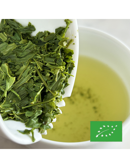 SENCHA YABUKITA SHIZUOKA ORGANIC CERTIFIED 2025