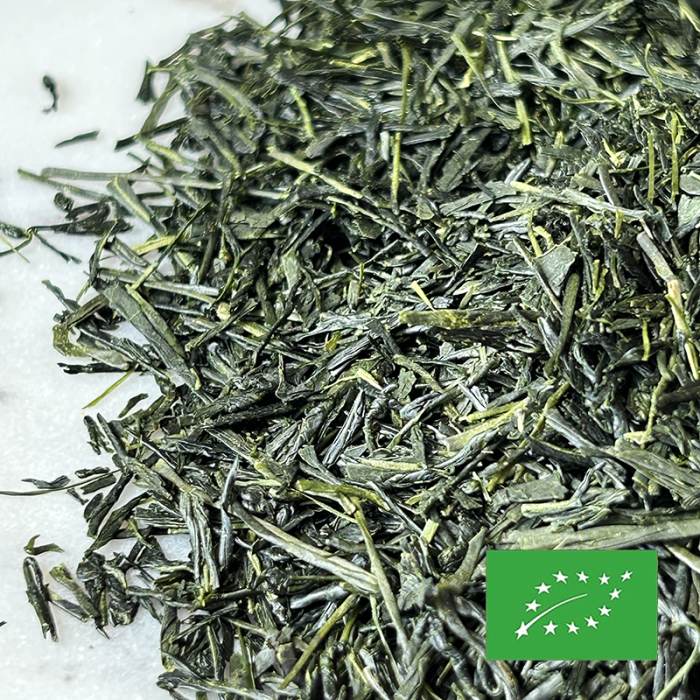 SENCHA YABUKITA CERTIFIÉ BIO 2024