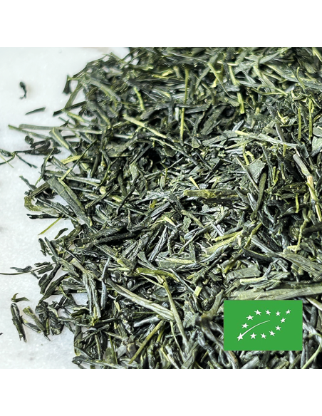 SENCHA YABUKITA SHIZUOKA CERTIFIÉ BIO 2025