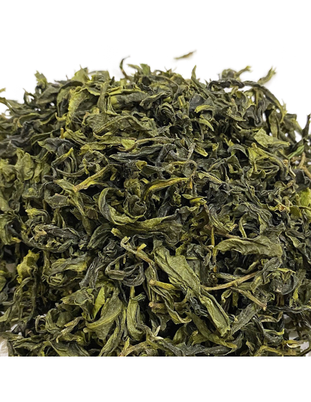 PROJET ROYAL VERT RUAN ZHI 2025