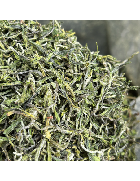 JINSHAN PREQINGMING - HANGZHOU 2024