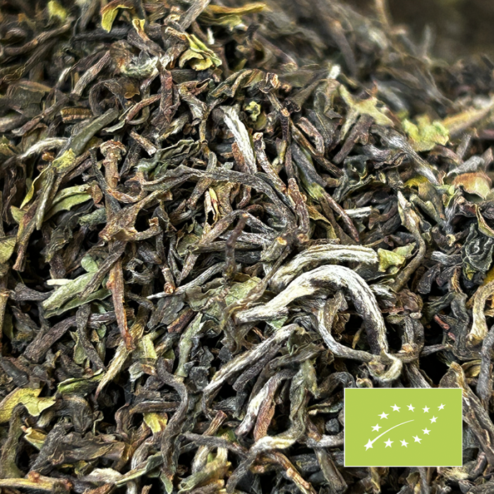 OKAYTI DJ'12 FIRST FLUSH DARJEELING 2024 CERTIFIÉ BIO