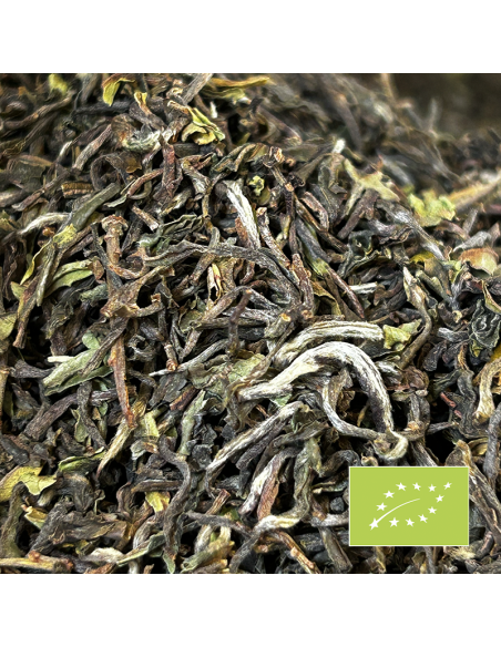 OKAYTI DJ'12 FIRST FLUSH DARJEELING 2024 CERTIFIÉ BIO